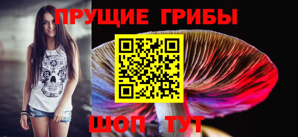 Псилоцибиновые грибы мухоморы  Вход с VPN  Лесозаводск 
